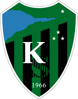 Kocaelispor.png