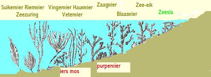 indeling naar diepte